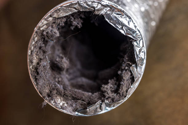 Best Affordable HVAC Duct Cleaning  in Lwa, CA