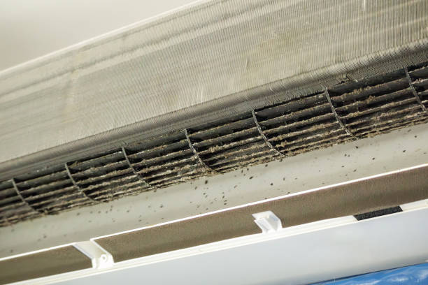 Best Air Duct Cleaning Near Me  in Lwa, CA